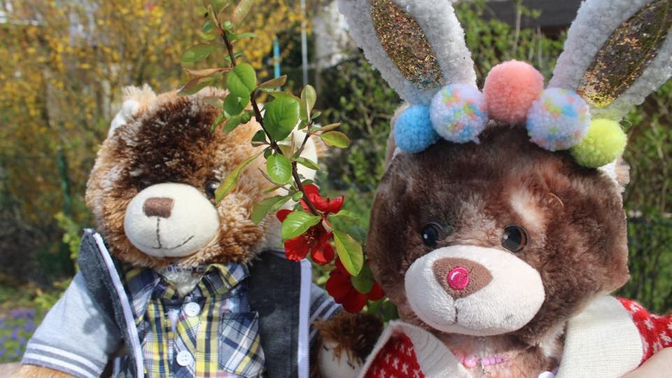Schönste Osterhasen-Fotos