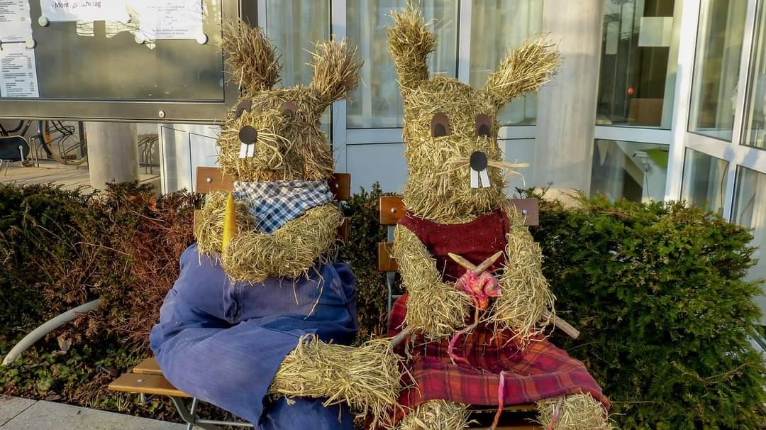 Schönsten Osterhasen-Fotos