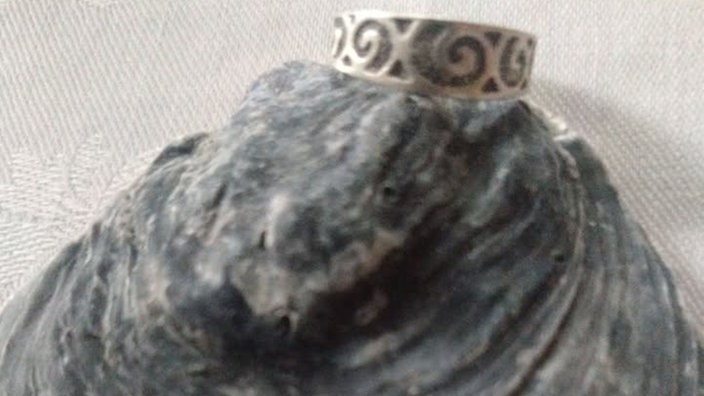 Ringgeschichten 