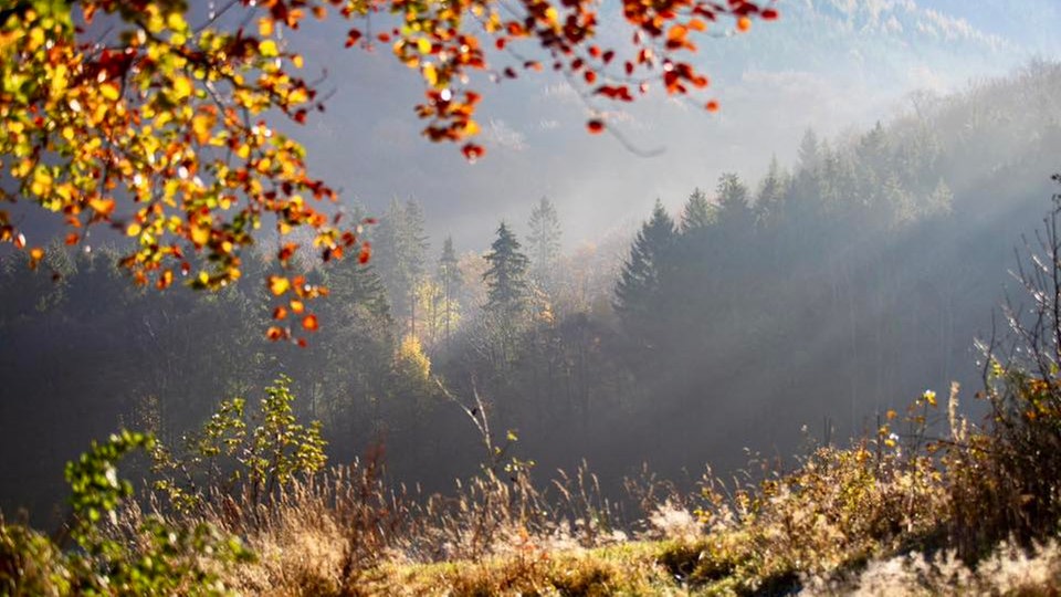 romantische Herbstlandschaft