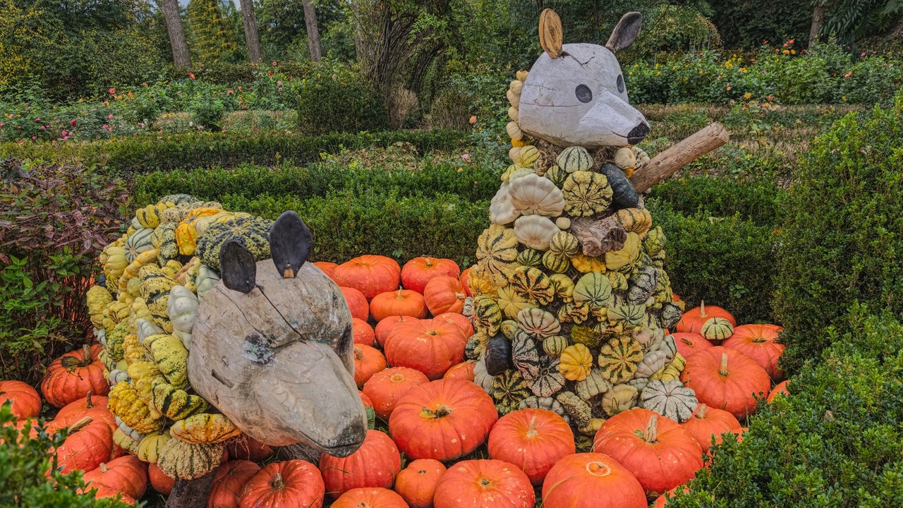Ihre schönste Herbstdeko