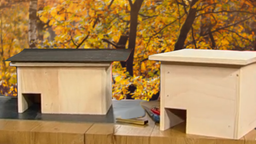 Ein Igelhaus im Wald