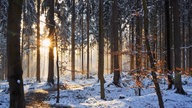 Wintersonnen-Foto