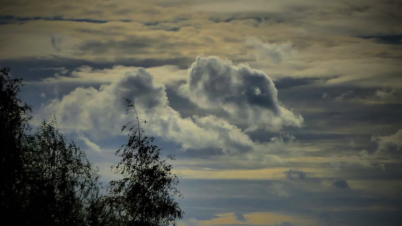 Wolken