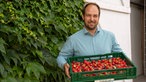 Benedikt Böcker mit einer Kiste Himbeeren. 