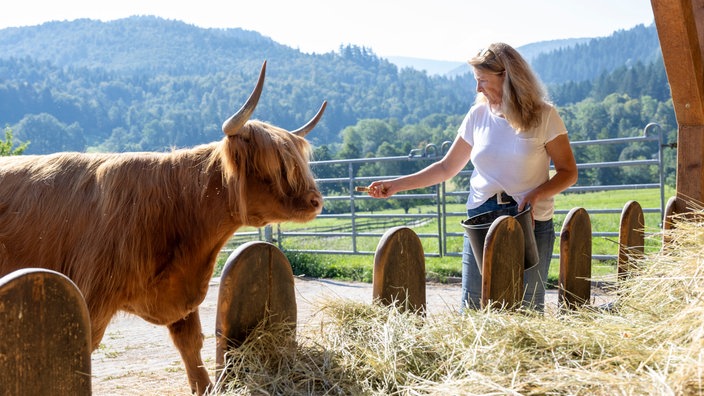 Christine Baumann mit einem Hochlandrind.