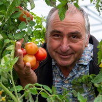 Gregor Keller inmitten von roten Tomaten