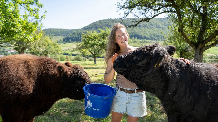  Laura Alena Schmid füttert die Galloways auf der Weide
