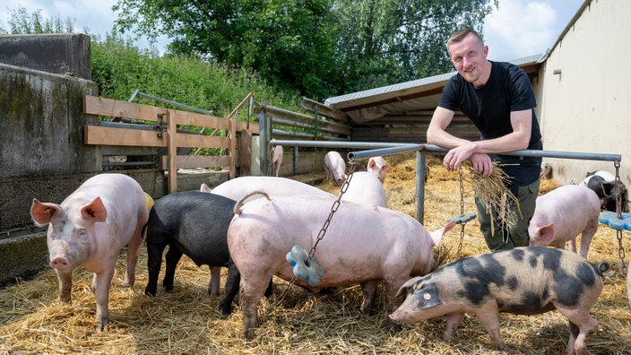 Michael Peine im Schweinestall mit Auslauf. 
