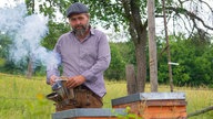 Bio-Imker Sebastian Klein bei der Arbeit an seinen Bienenstöcken.