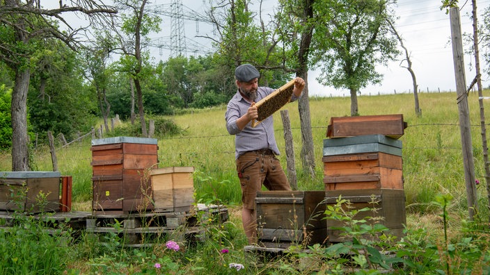 Sebastian Klein kontrolliert Bienenwaben.