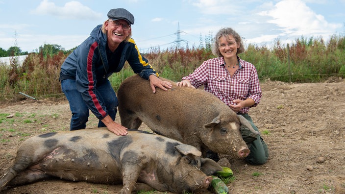Frank Buchholz streichelt die Schweine von Julia Höffken. 