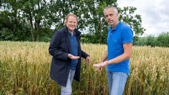 Björn Freitag mit Bernardus Smits auf dem Feld mit Senfsaat. 