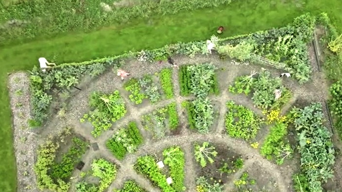 Blick auf den Garten von Freya Zandstra.