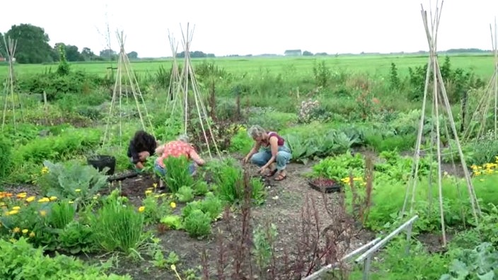 Freya Zandstra arbeitet mit anderen im Garten. 