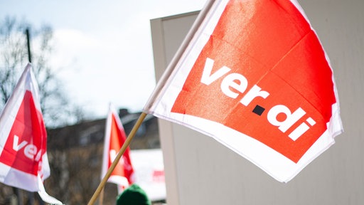 Das Bild zeigt die Flagge der Verdi.