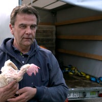 Mann mit Huhn