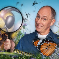 Thomas Ranft nimmt Insekten unter die Lupe