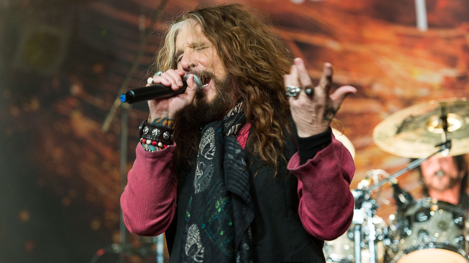 The Dead Daisies