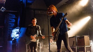 The Amazons