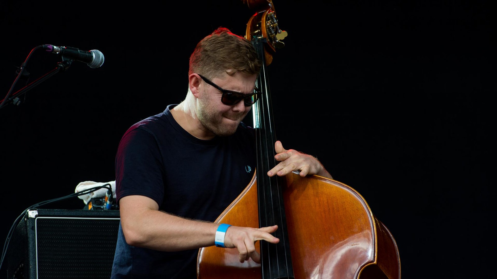 GoGo Penguin