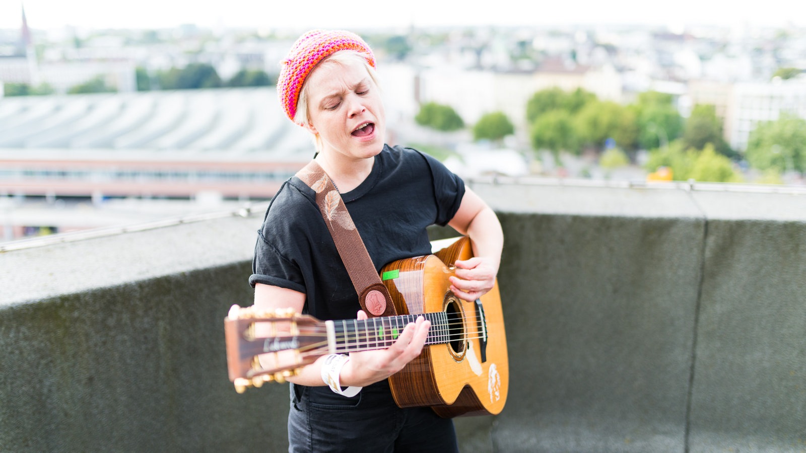 Wallis Bird