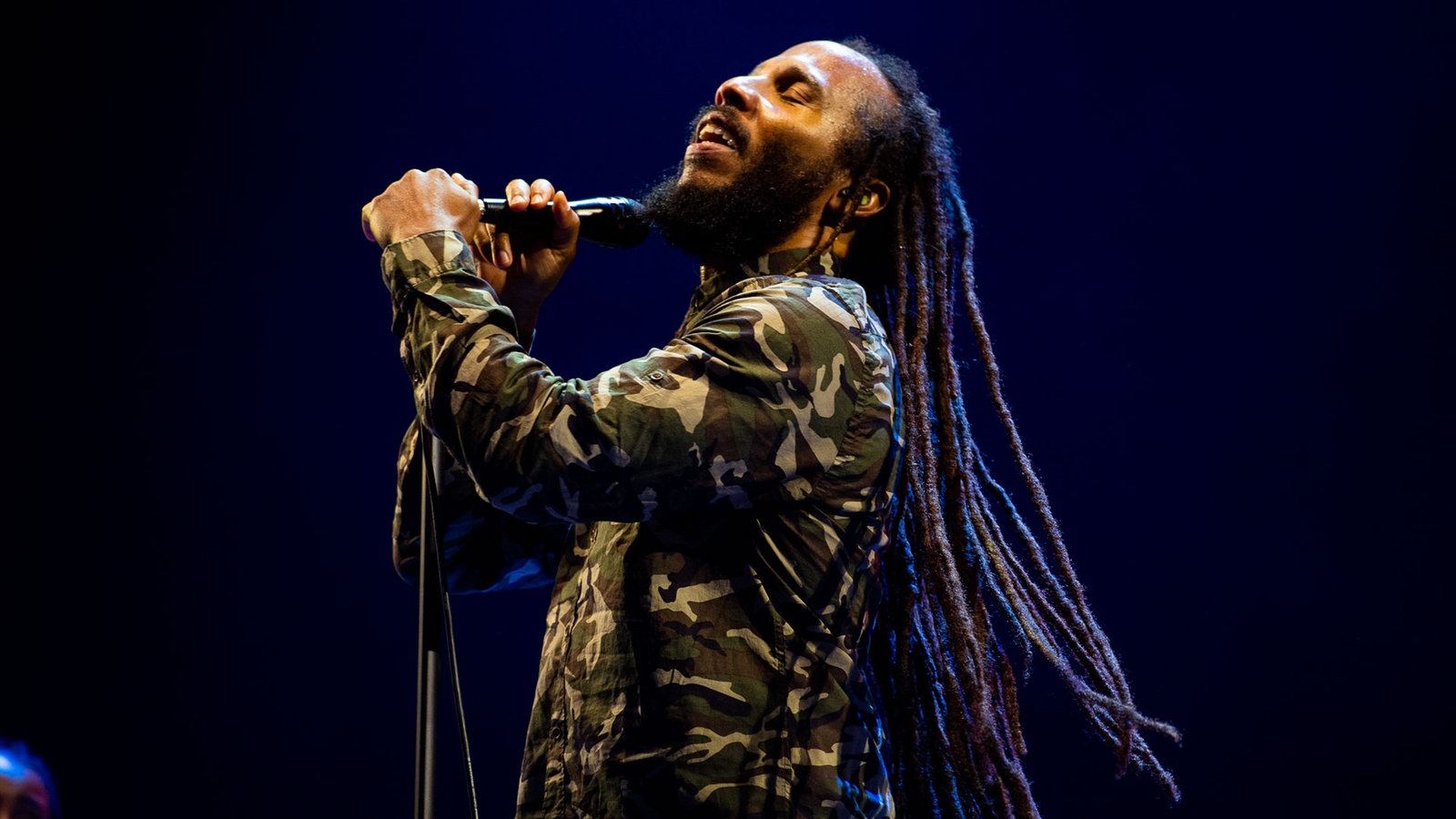 Ziggy Marley