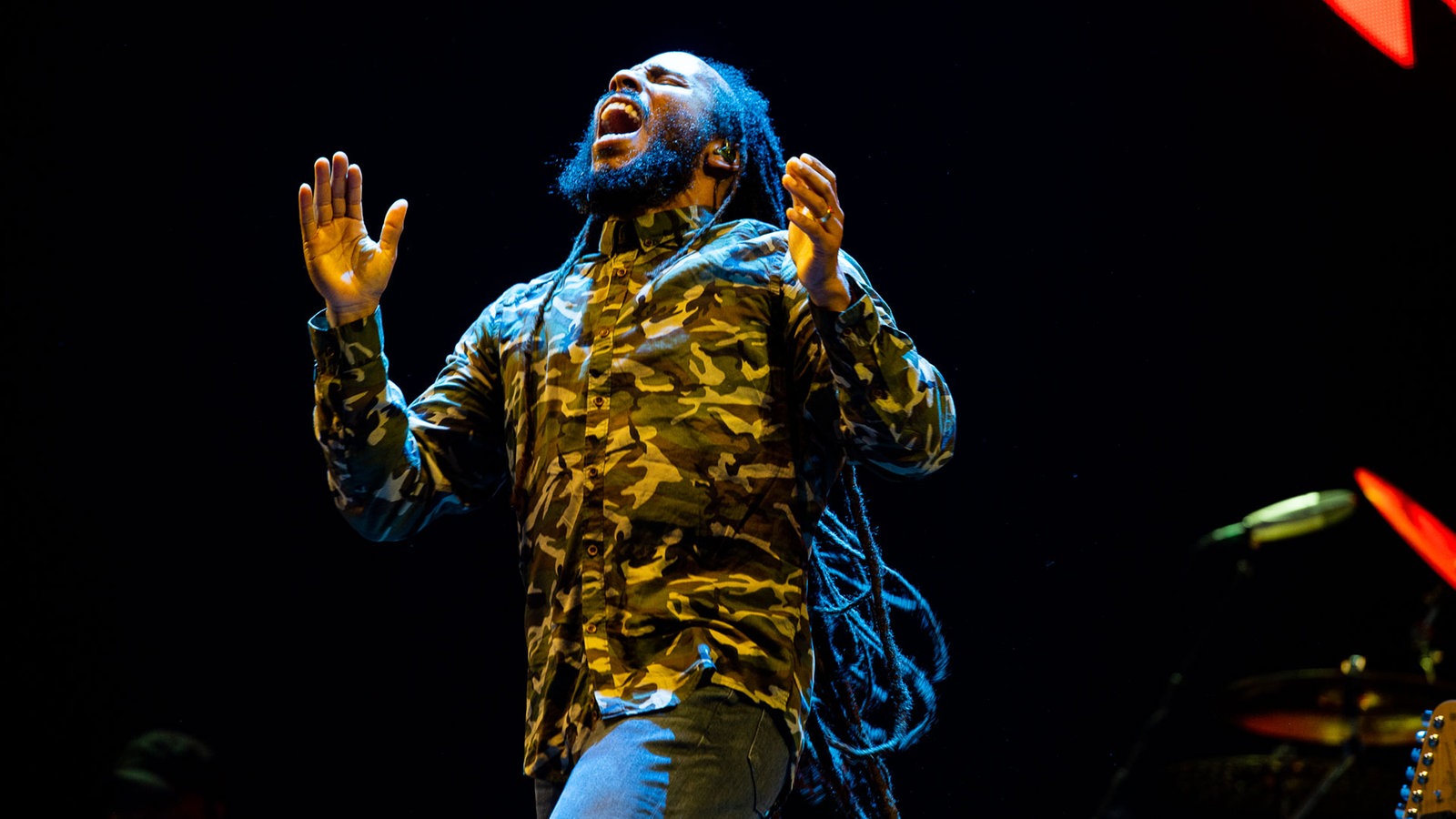 Ziggy Marley