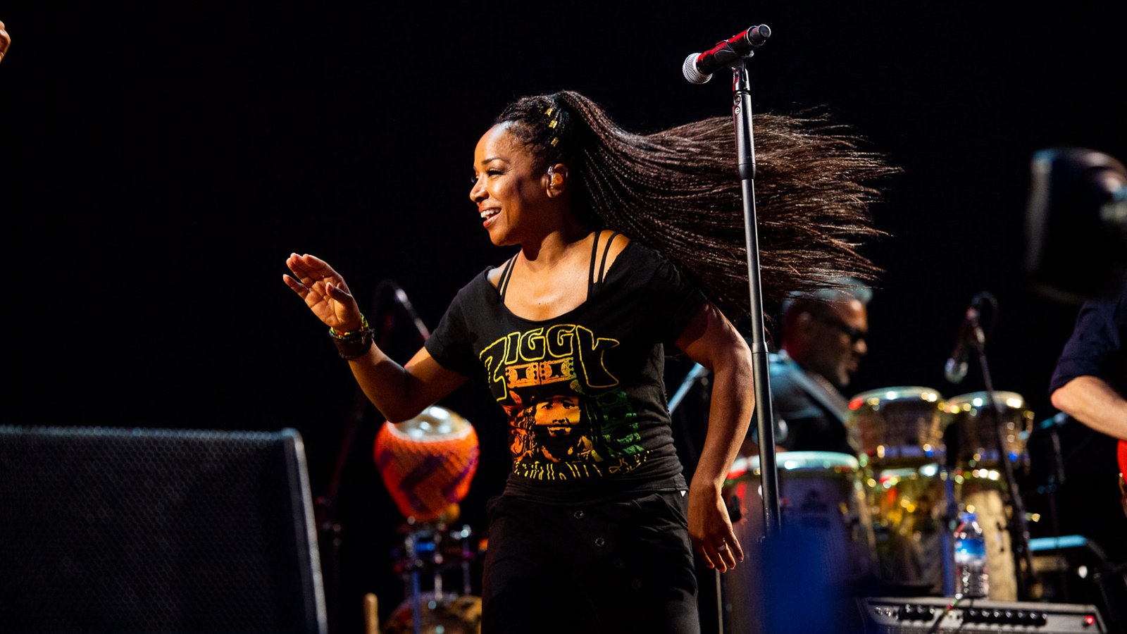 Ziggy Marley