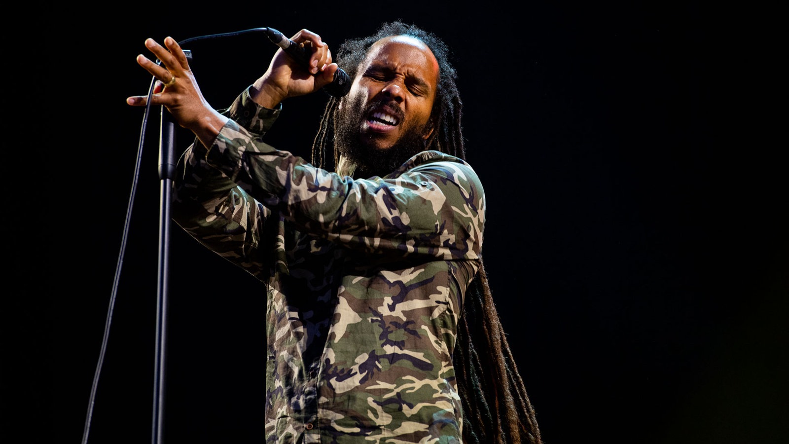 Ziggy Marley