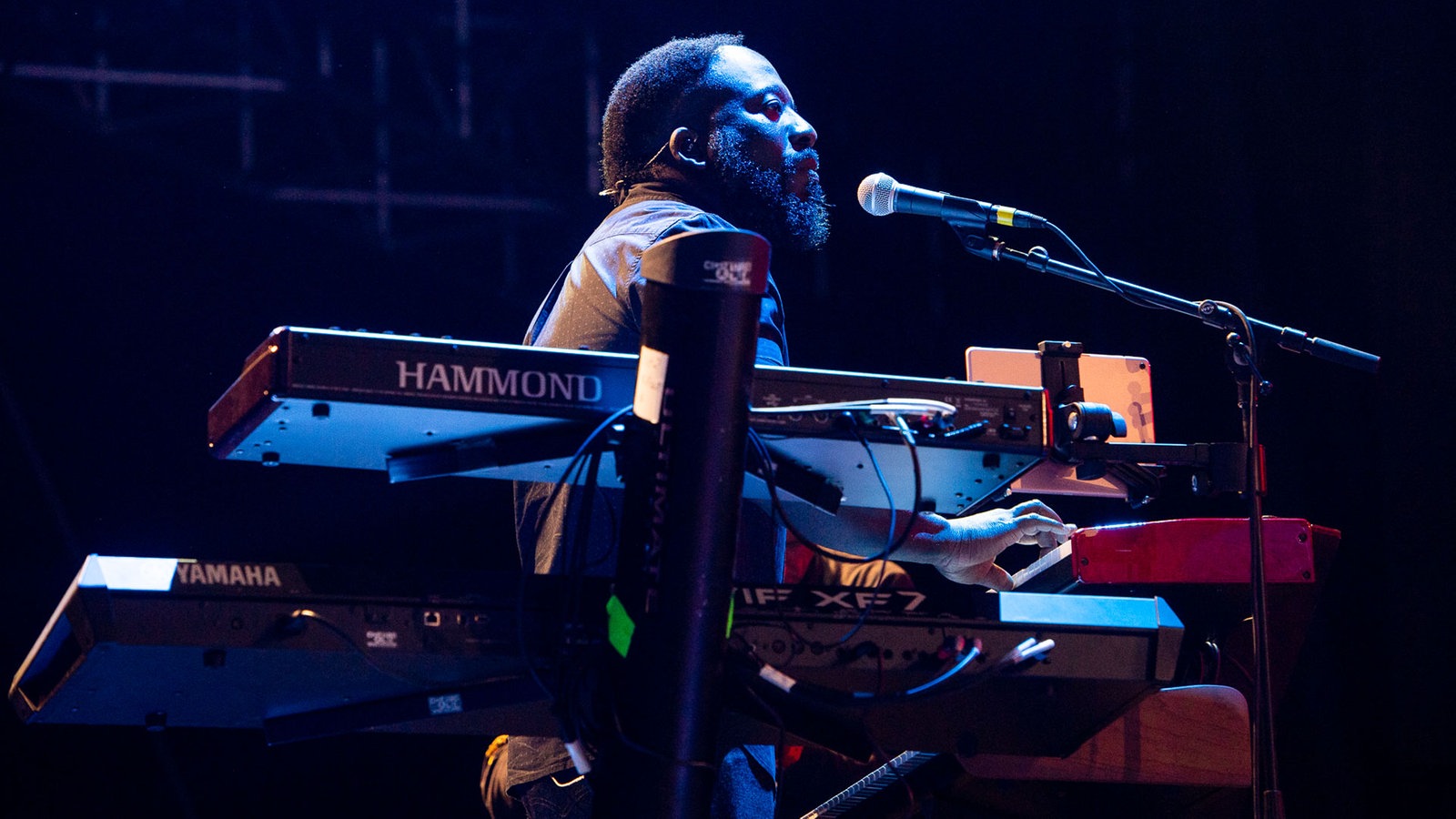 Ziggy Marley