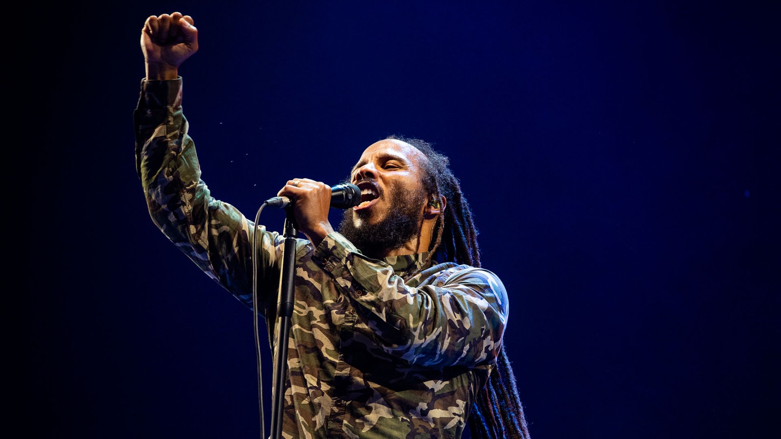 Ziggy Marley