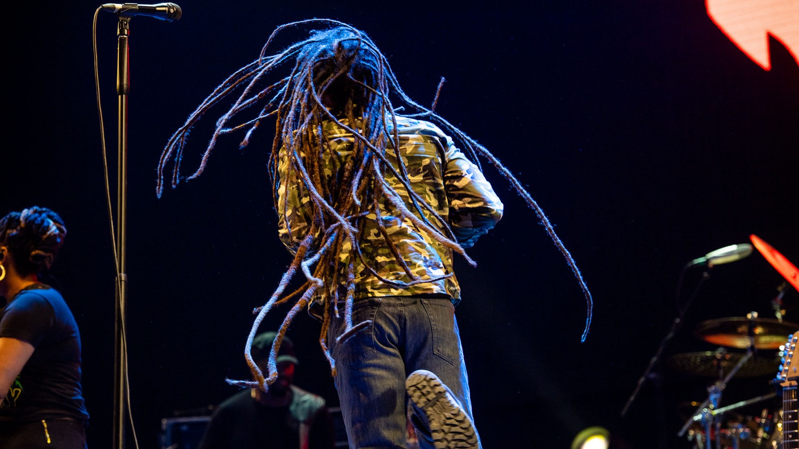 Ziggy Marley