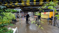 Circus Electric: Rockpalast OFFSTAGE im Odonien Köln
