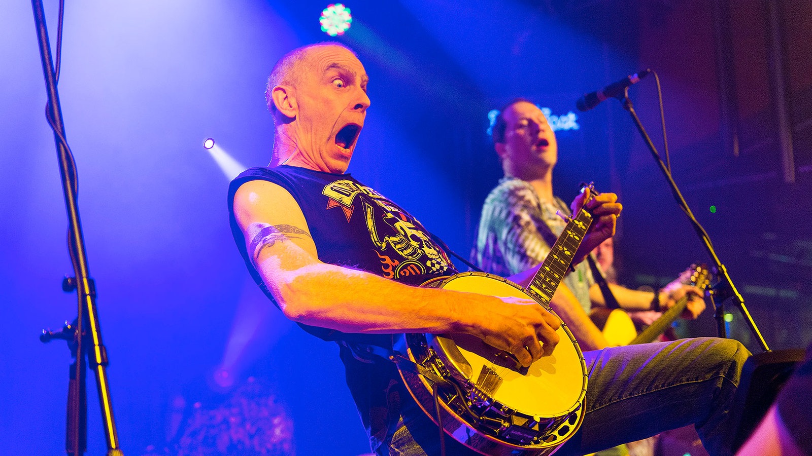 Hayseed Dixie