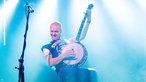 Hayseed Dixie