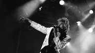 Die Toten Hosen