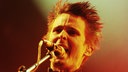 Muse