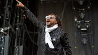 Skindred