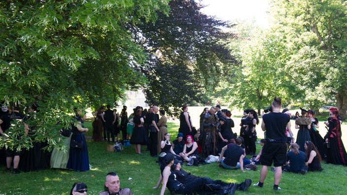 Aufnahme der Festivalbesucher auf Wiese