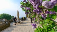Fortuna Ehrenfeld: Corona Session auf Schloss Drachenburg