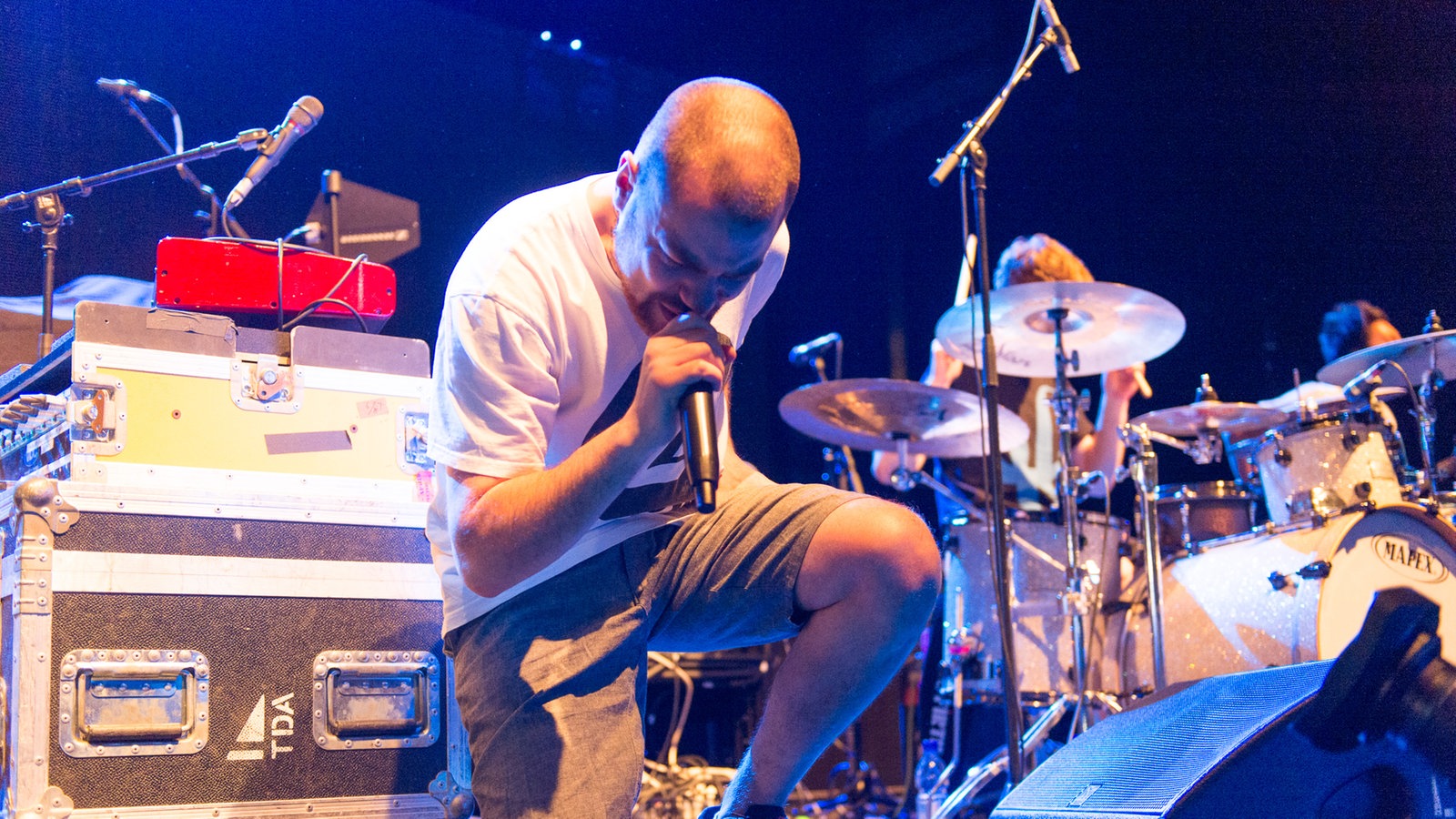 Hacktivist