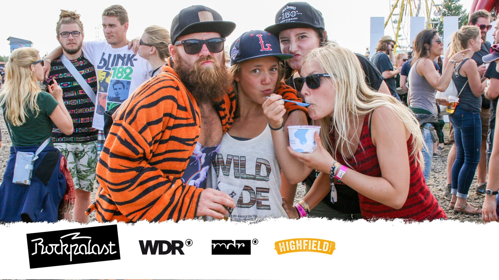 Publikum beim Highfield Festival 2016