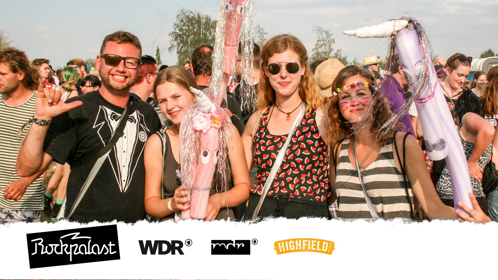 Publikum beim Highfield Festival 2016