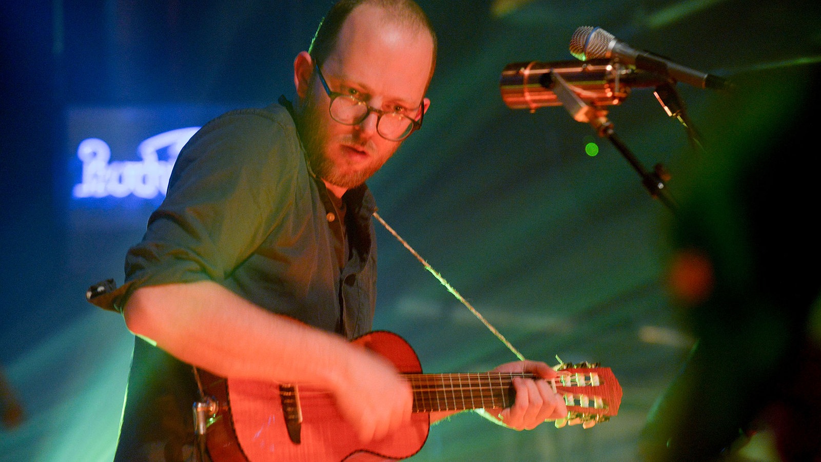 Honig mit seiner Guitarlele 