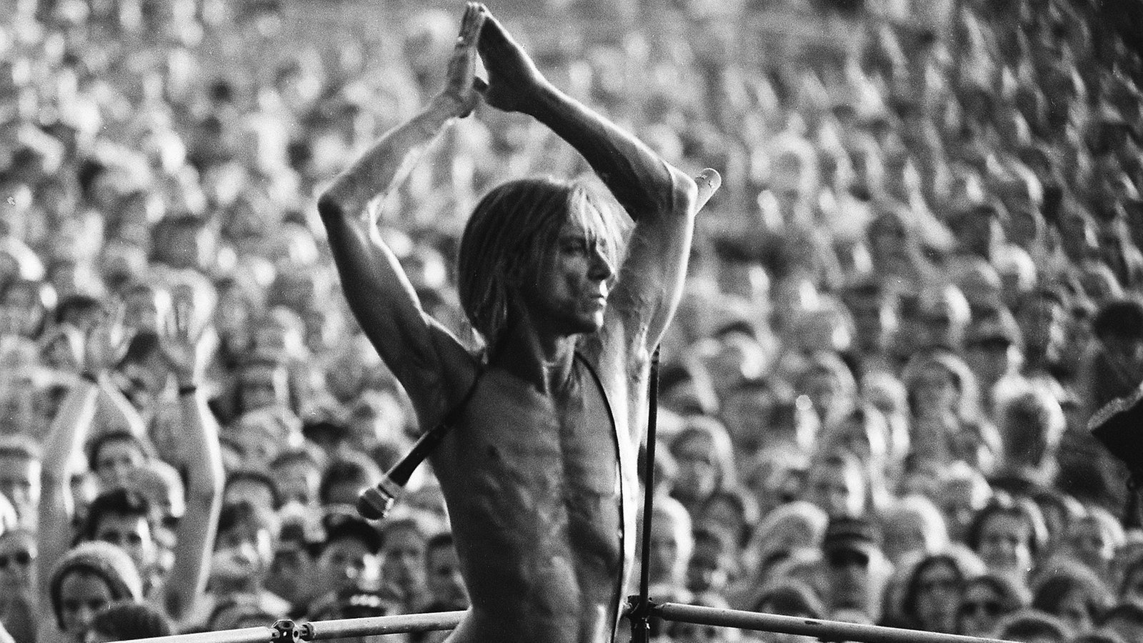 Iggy Pop