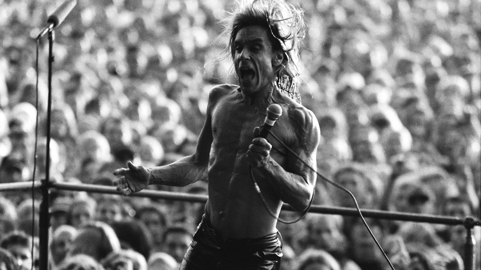 Iggy Pop