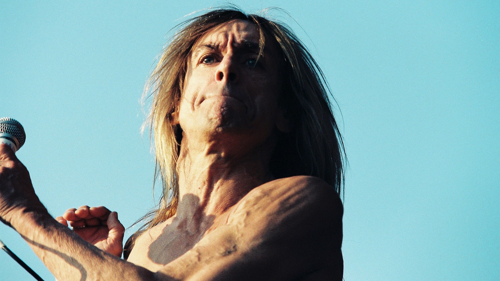 Iggy Pop