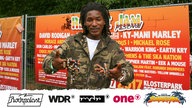 Publikumsfotos Summerjam 2017