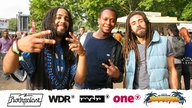 Publikumsfotos Summerjam 2017